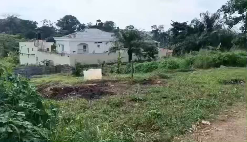 VENTE FLASH À YAOUNDÉ – ODZA NKOLNDA