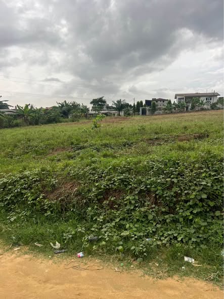 Magnifique terrain à vendre à Douala Yassa