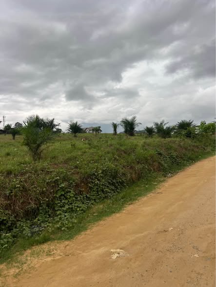 Magnifique terrain à vendre à Douala Yassa