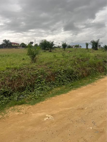 Magnifique terrain à vendre à Douala Yassa