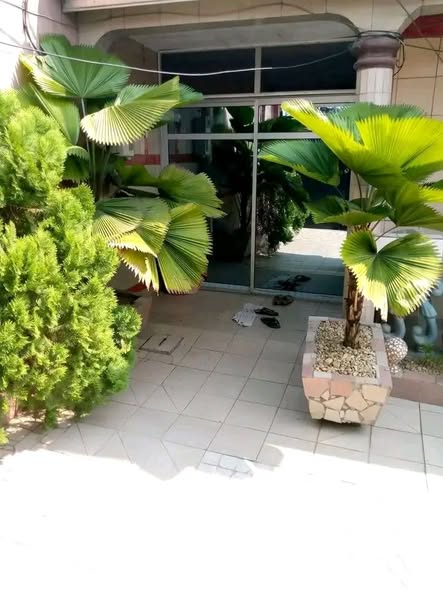 Magnifique villa à Ndogpassi 2
