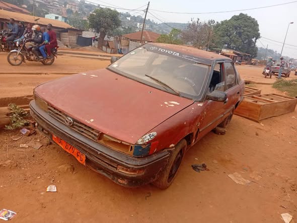 Terrible Cho Cho à vendre