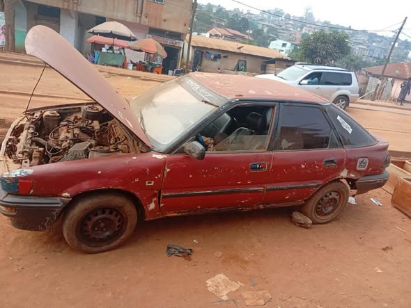 Terrible Cho Cho à vendre