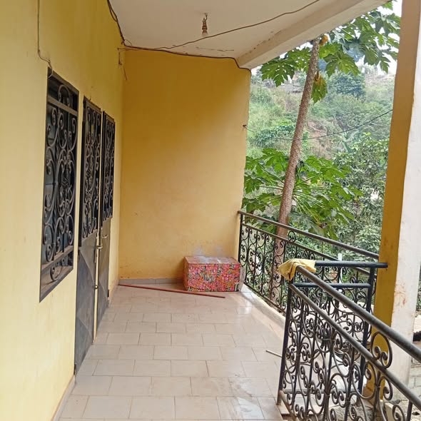 Appartement et studio à louer à ngousso