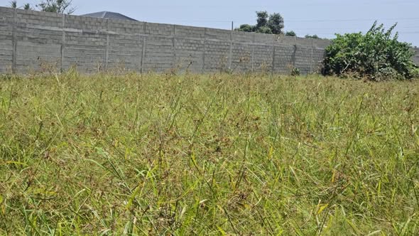 Vente d’un terrain 501 m² à Bassam