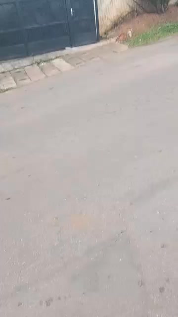 Magnifique lot de 700m2 à vendre