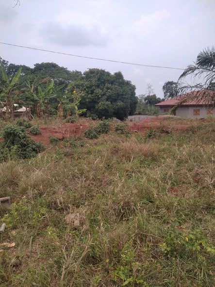 Terrain titré à vendre à Ekabita mendoum