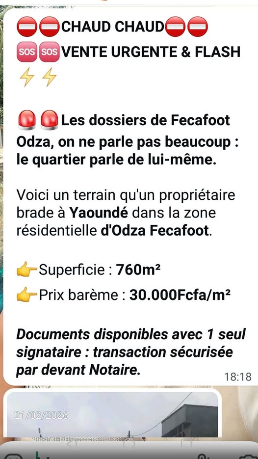 Vente urgente de terrain à Yaoundé