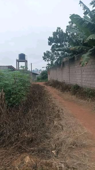 Terrain titré à vendre à Yaoundé