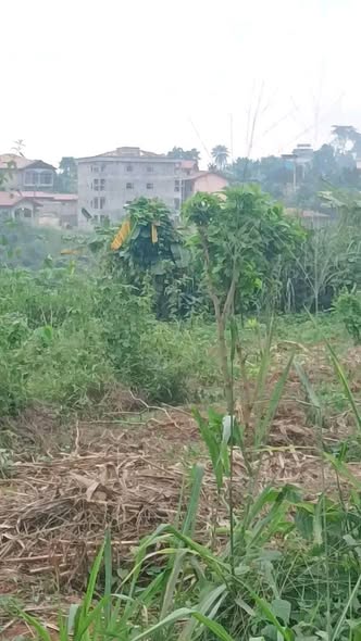 Terrain titré à vendre à Yaoundé