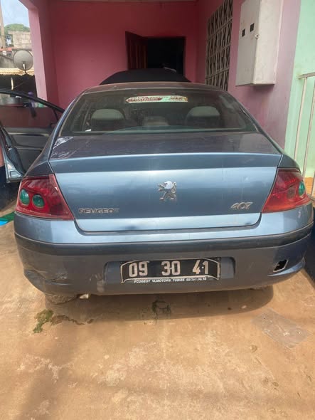 Peugeot 407 à vendre