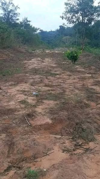 Terrain titré et lotis de 9 hectares à vendre à PK34
