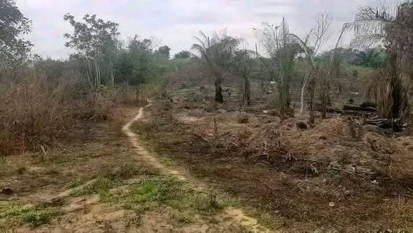 Terrain titré et lotis de 9 hectares à vendre à PK34