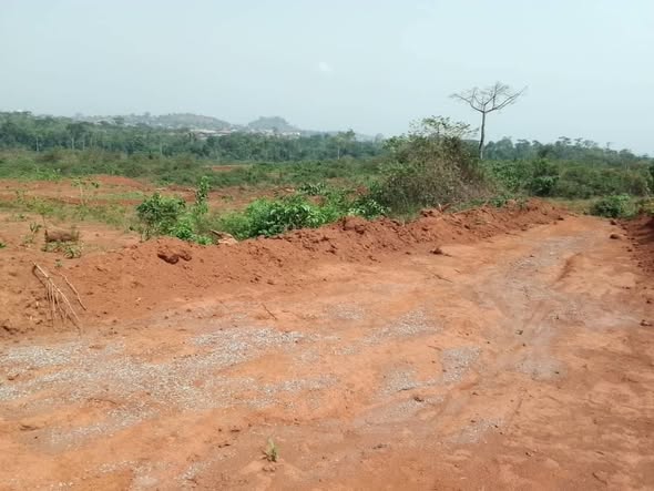 Terrain à vendre à TSINGA VILLAGE