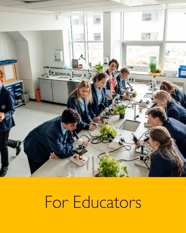 For Educators