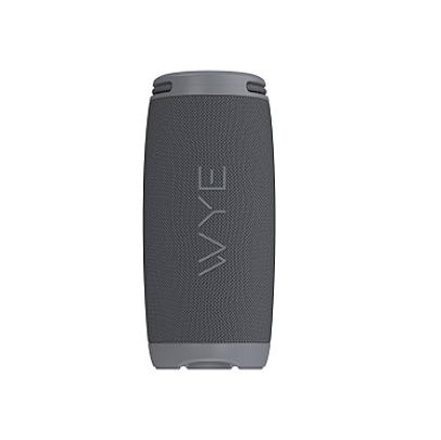 20W ProSound Wireless Speaker