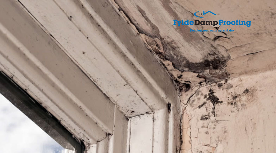 Fylde Damp Proofing Free Damp Surveys