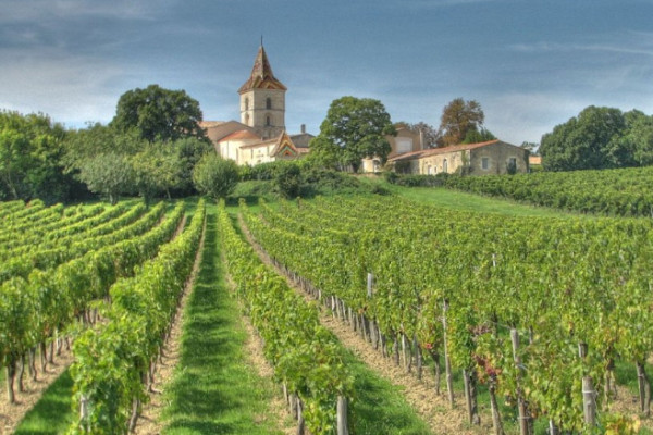 Vineyard Bordeaux screenshot 2023-03-16