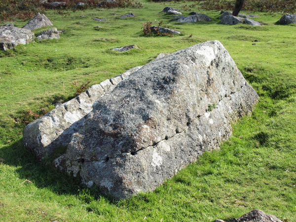 Are We Using Dartmoor’s Stone Resources Wisely?