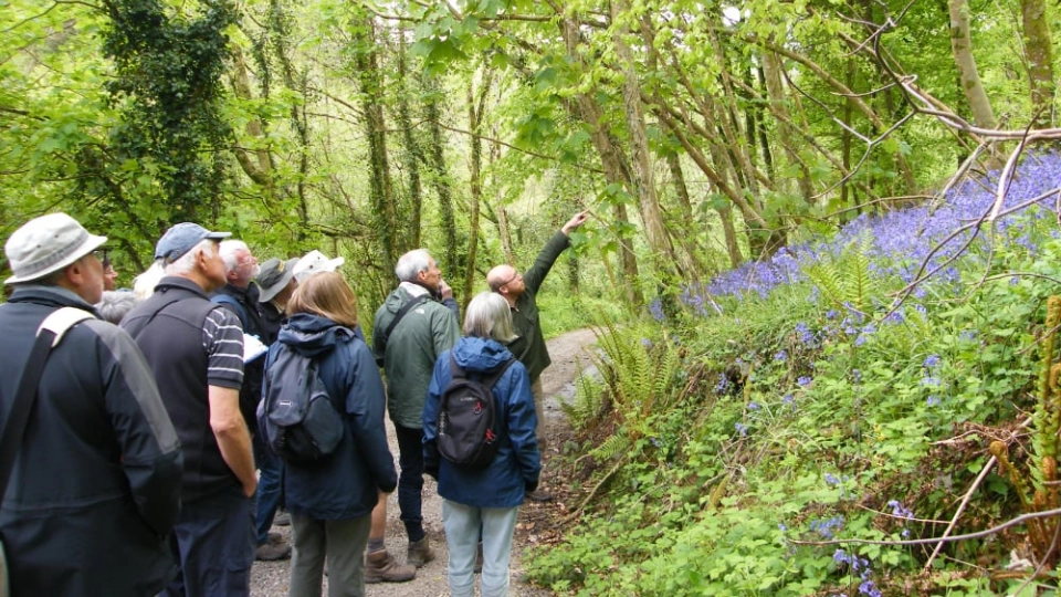 Dartmoor Society Events