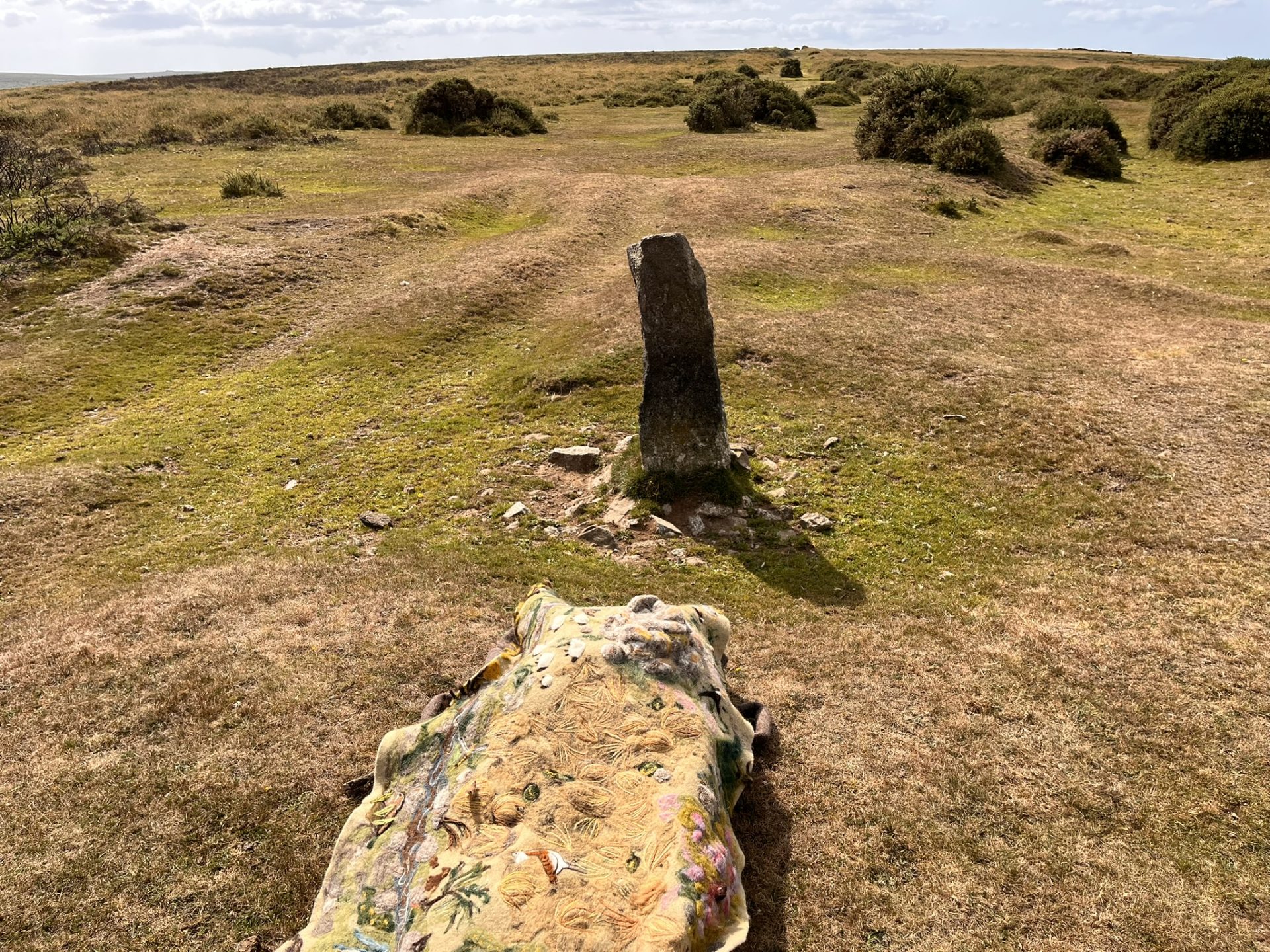 A Shroud for Mother Nature: Dartmoor Society Joins Reflective Walk Inspired by ‘Is Dartmoor Dying?’ Exhibition