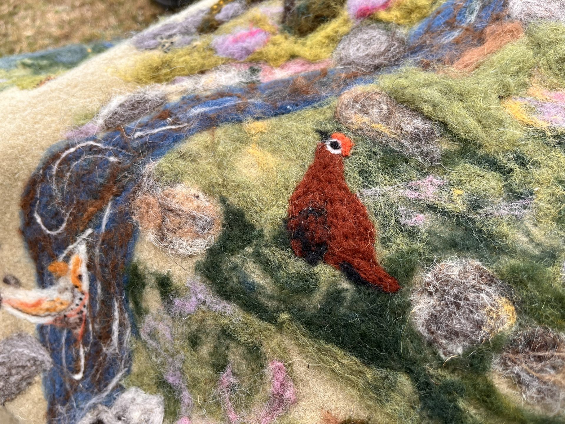 A Shroud for Mother Nature: Dartmoor Society Joins Reflective Walk Inspired by ‘Is Dartmoor Dying?’ Exhibition