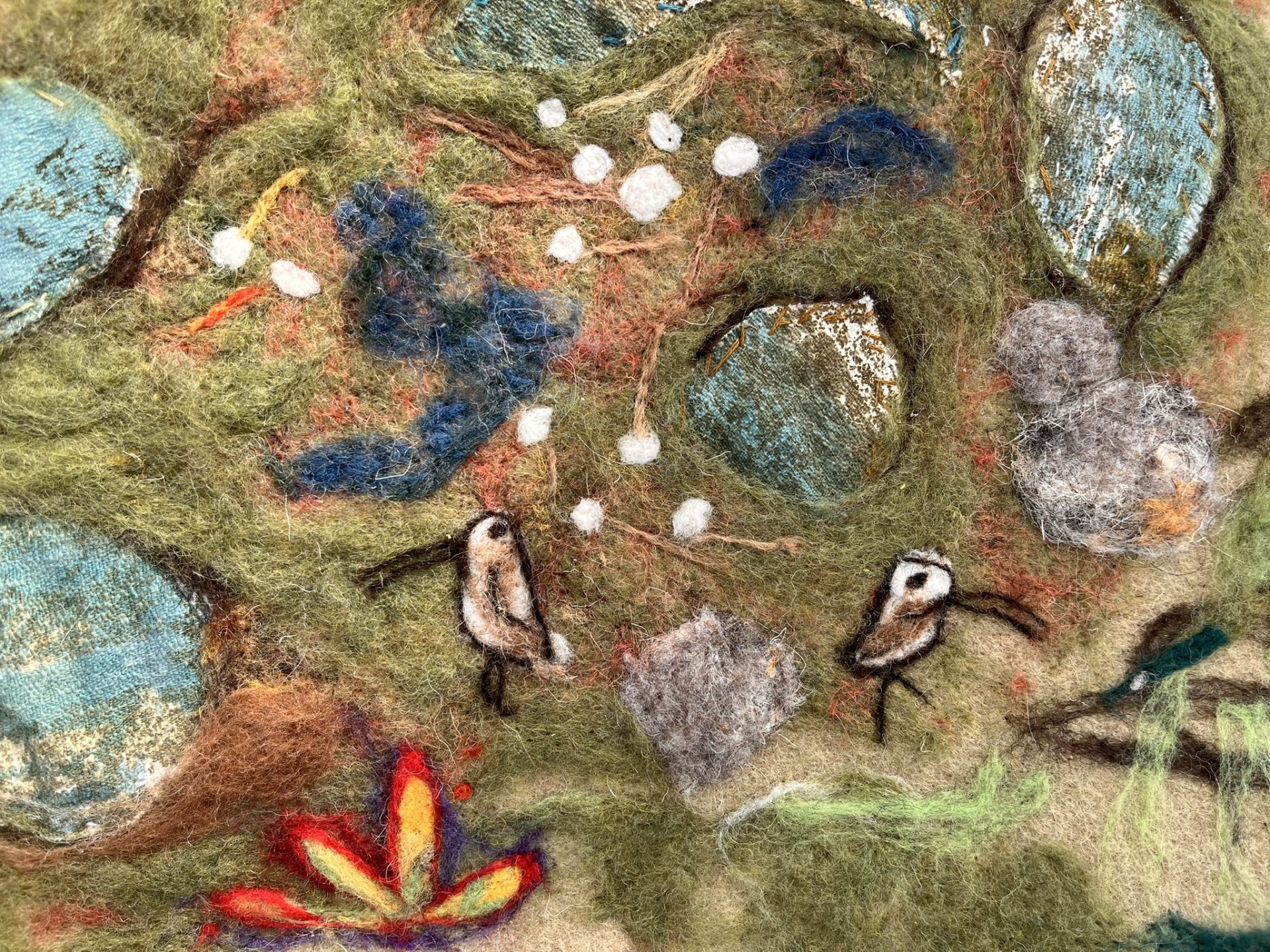 A Shroud for Mother Nature: Dartmoor Society Joins Reflective Walk Inspired by ‘Is Dartmoor Dying?’ Exhibition