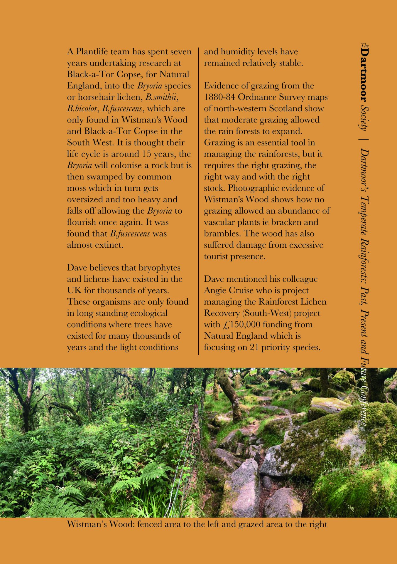 Dartmoor's Temperate Rainforests: Past, Present and Future.