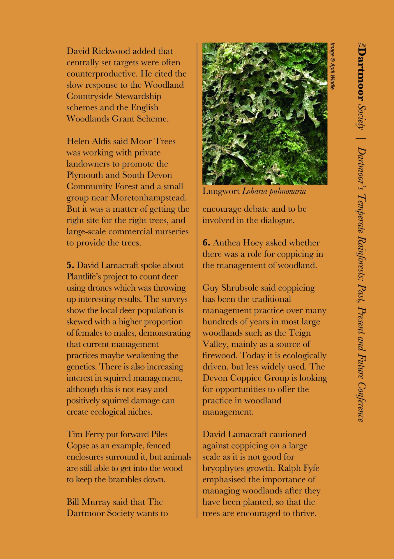 Dartmoor's Temperate Rainforests: Past, Present and Future.