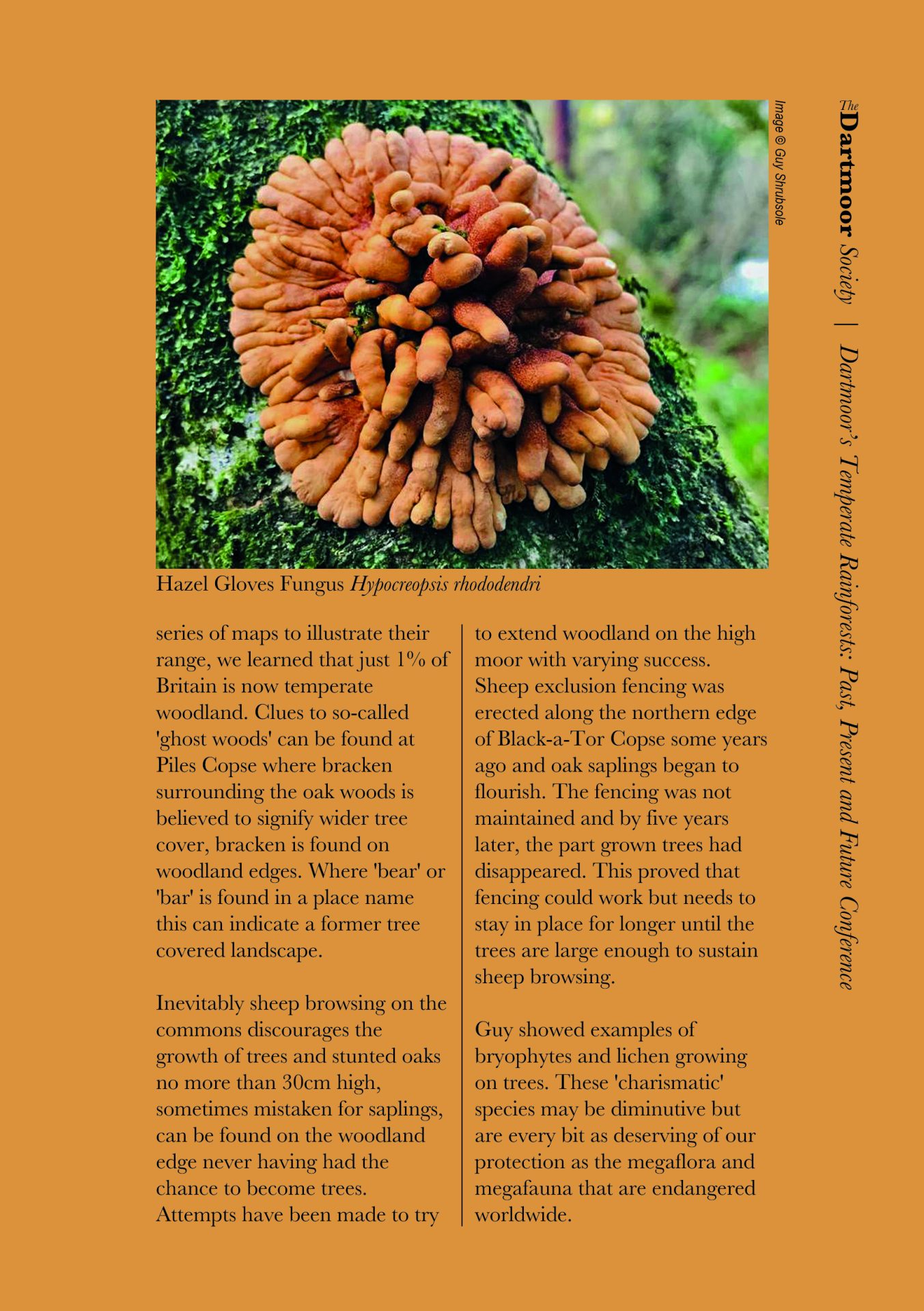 Dartmoor's Temperate Rainforests: Past, Present and Future.