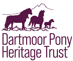 Spotlight on the Dartmoor Pony Heritage Trust