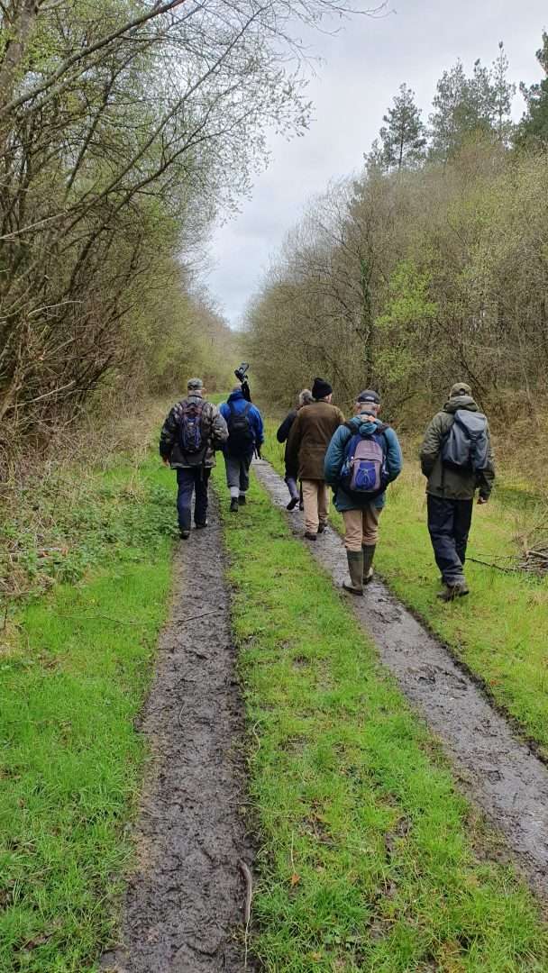 Mid Devon Branch Visit To Meeth Quarry Reserve - Devon Birds