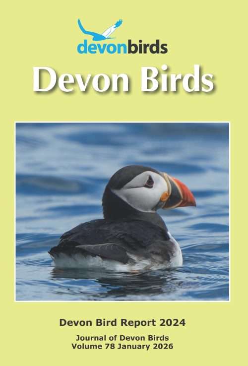 DEVON BIRD REPORT 2024
