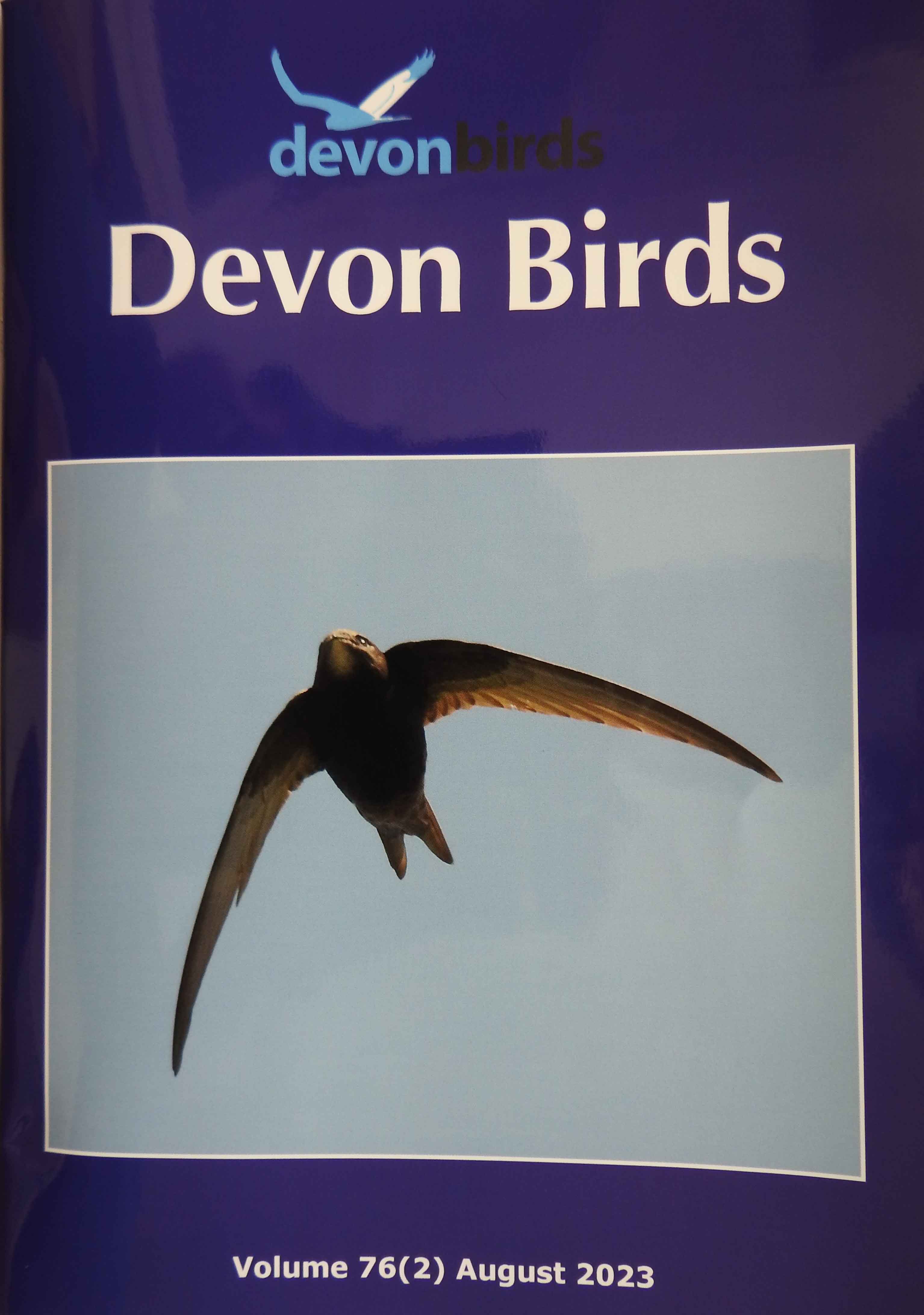 Devon Birds Journal August 2023 - Devon Birds