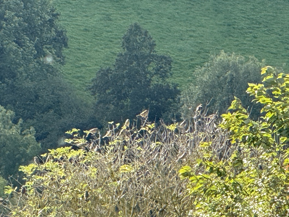 River Mole Valley