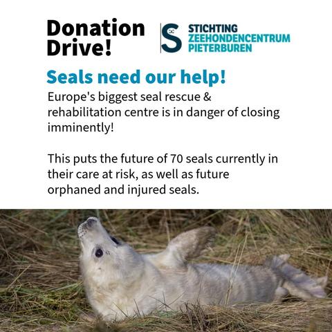 info about the seal hospital closing