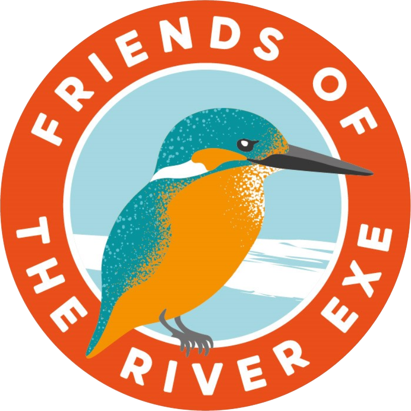 Friends of the River Exe