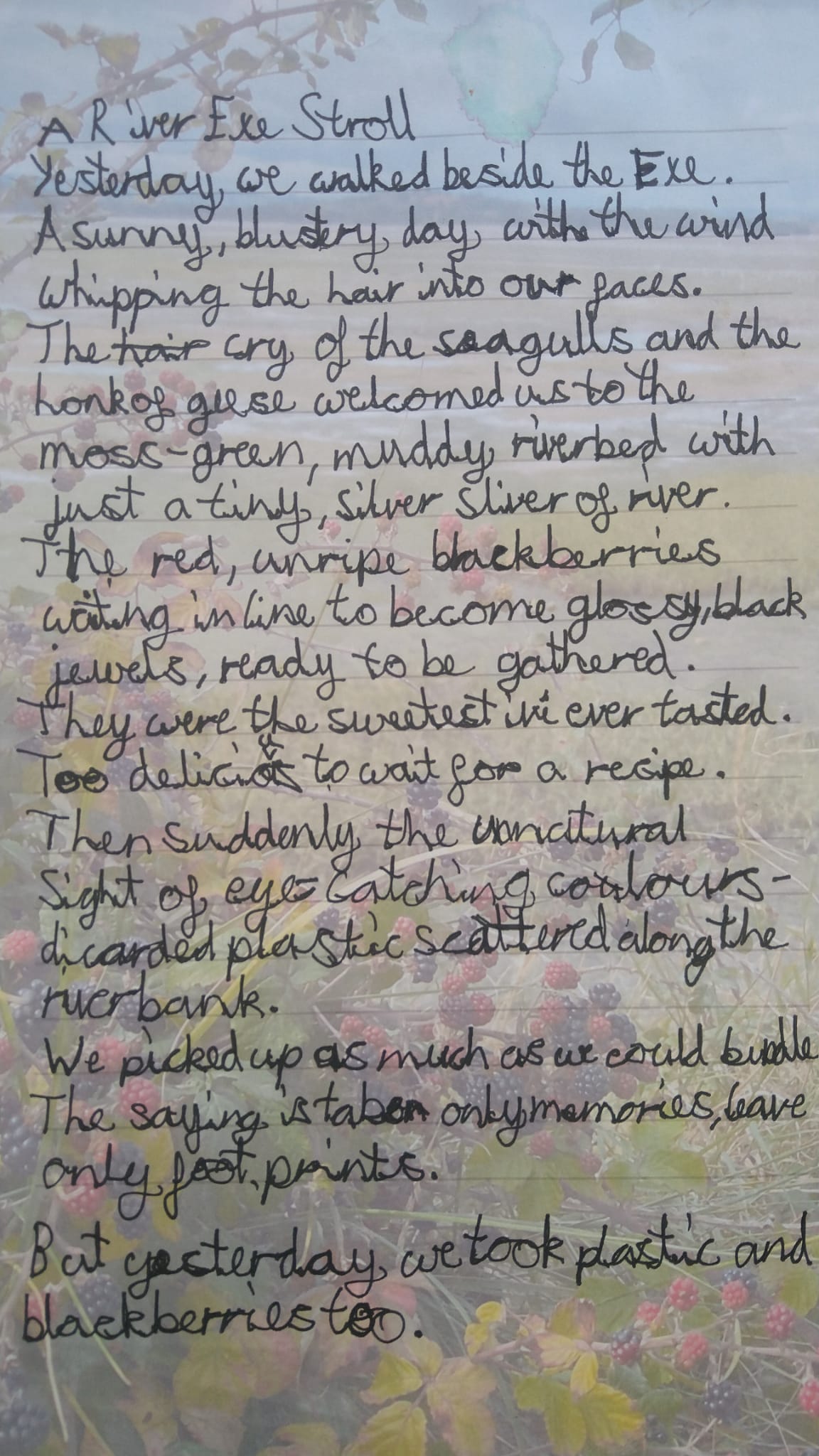 Marpool Primary School Poem