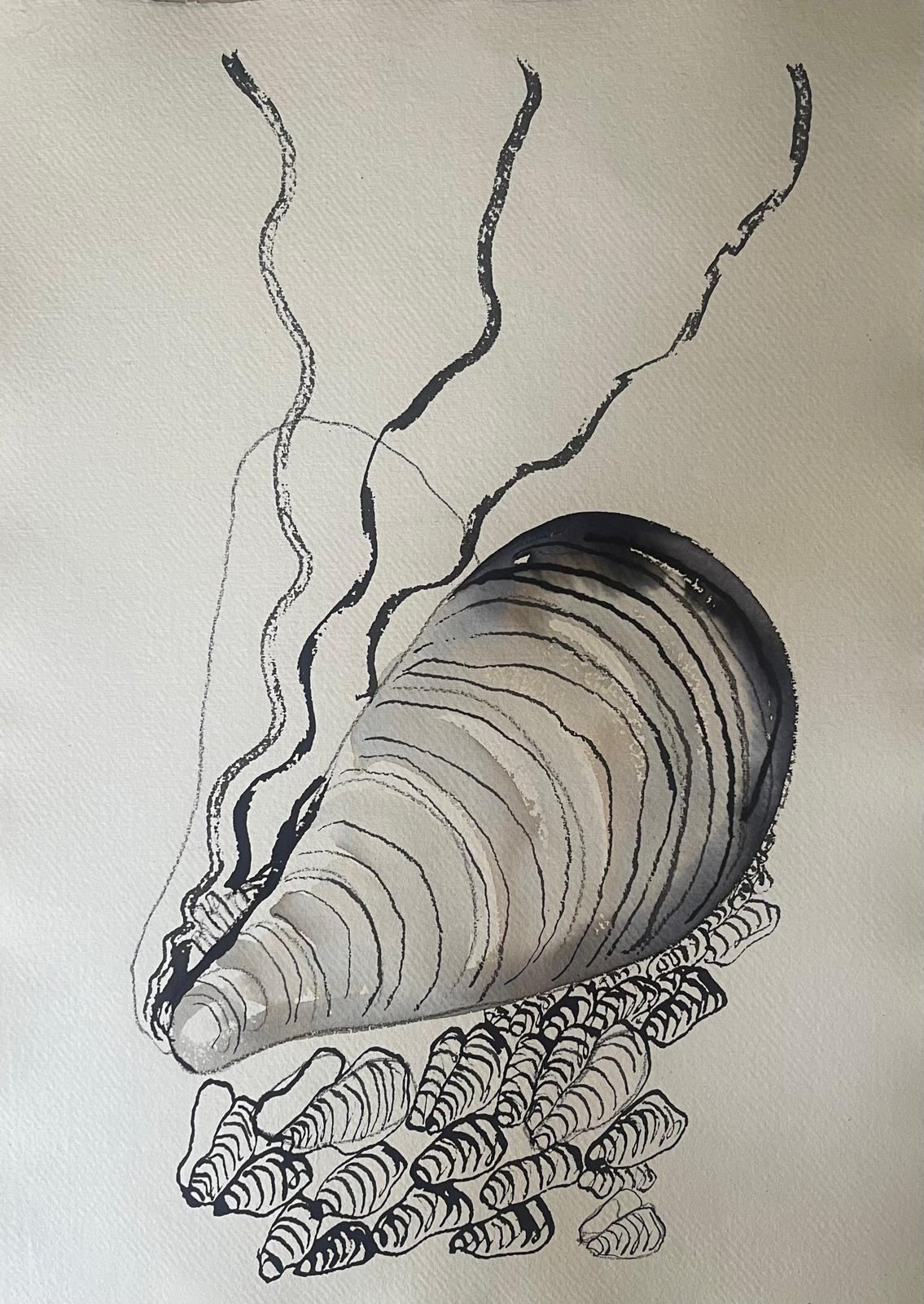 Blue Mussel and friends illustration Shelley Castle