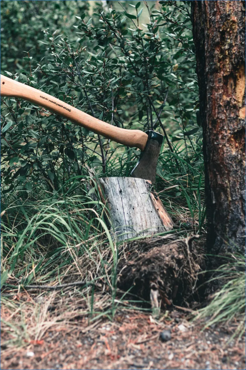 Axeperience: The Ultimate Thrill of Axe Throwing