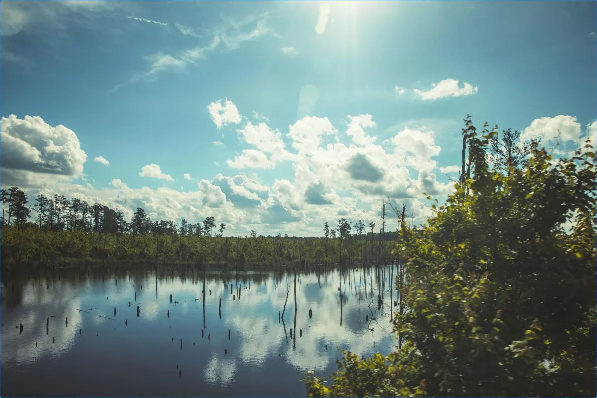 Scenic view of a lake with trees and clouds.