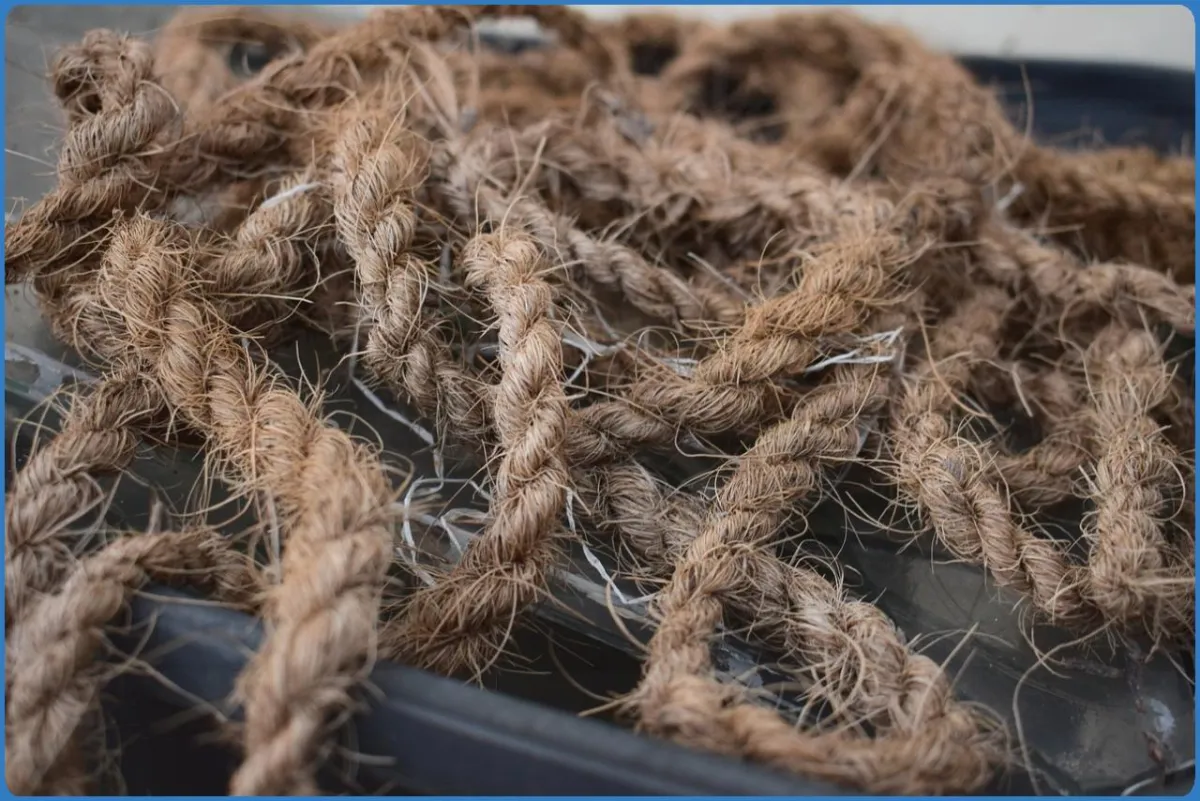 Close-up of coiled brown rope