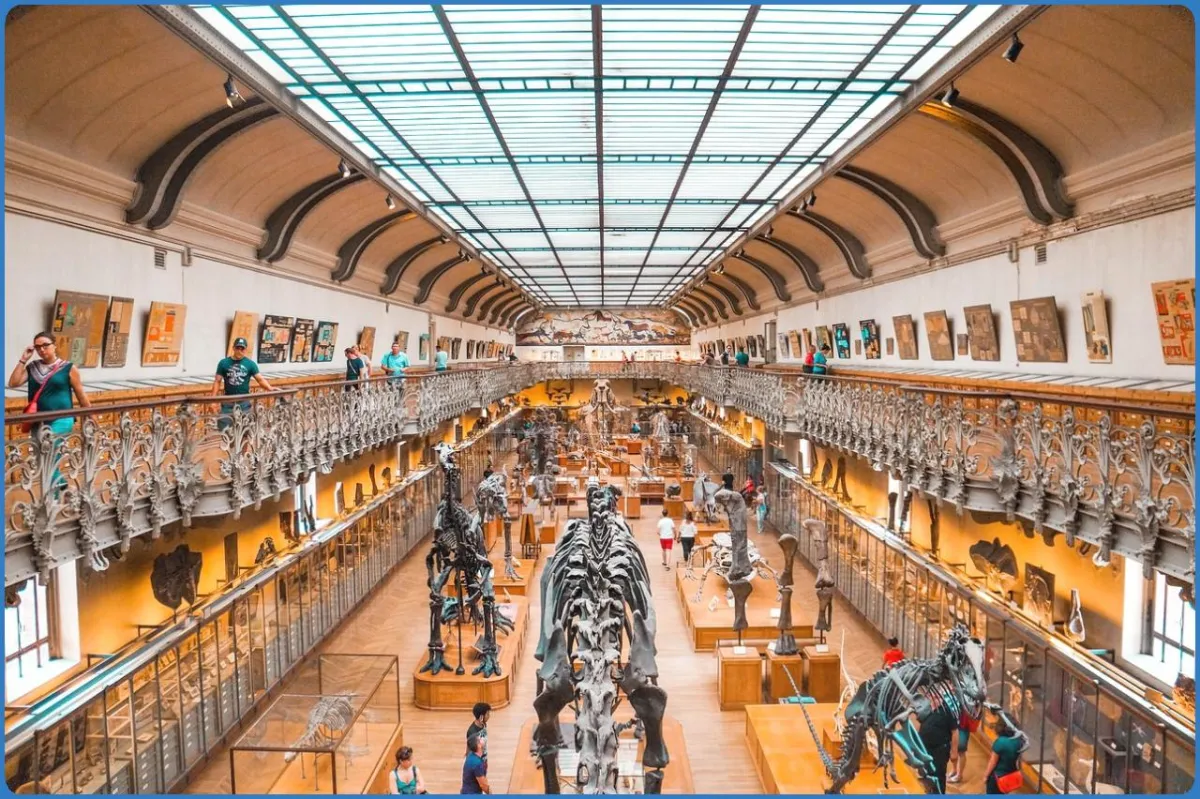 The Coventry Music Museum