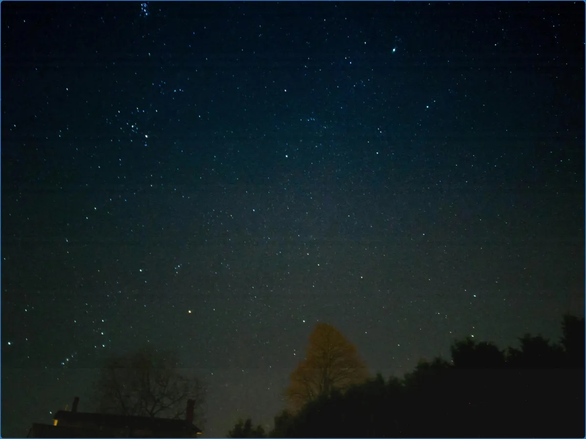 Starry night sky with silhouetted trees