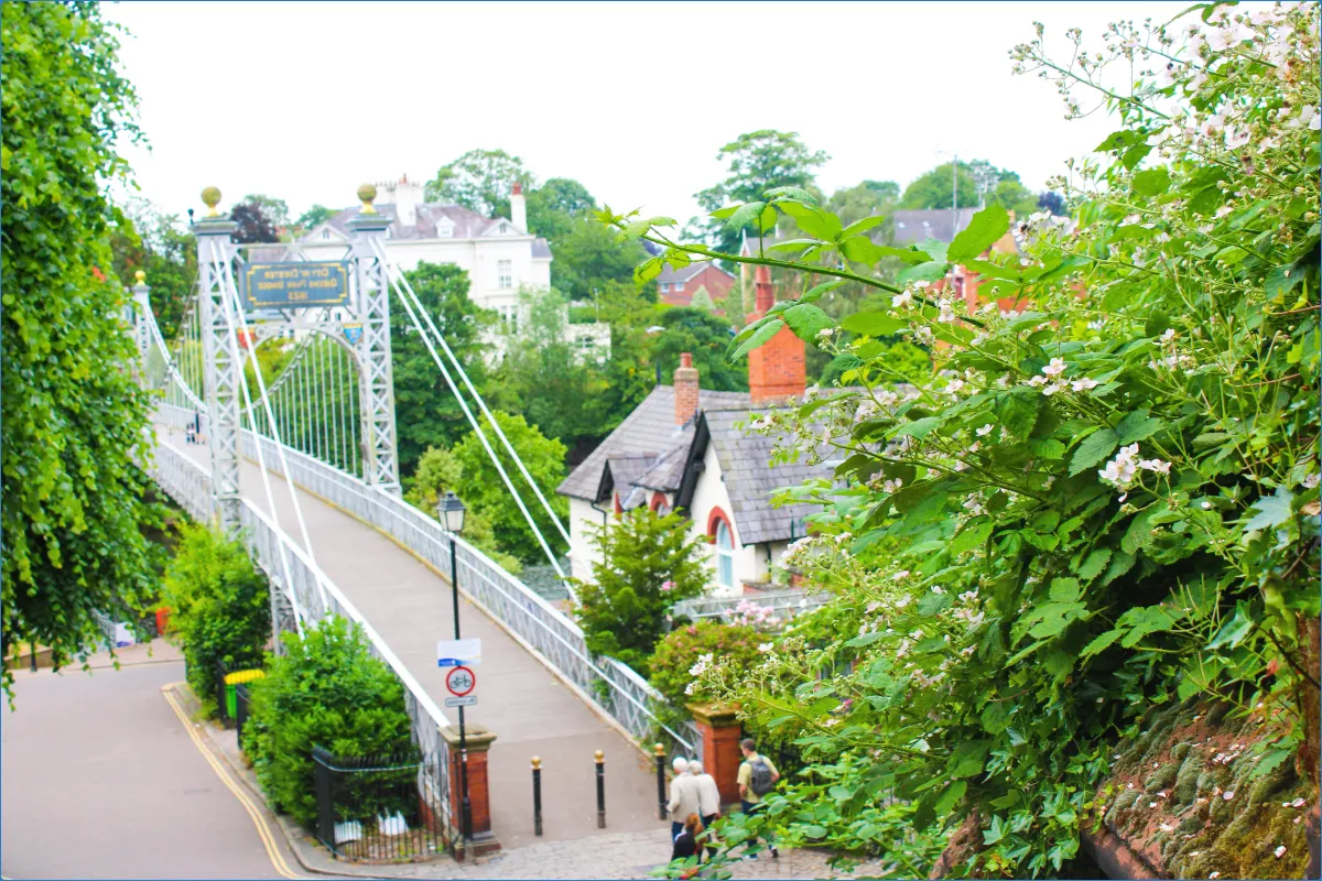 Unravel the Mystery: Breakout Chester