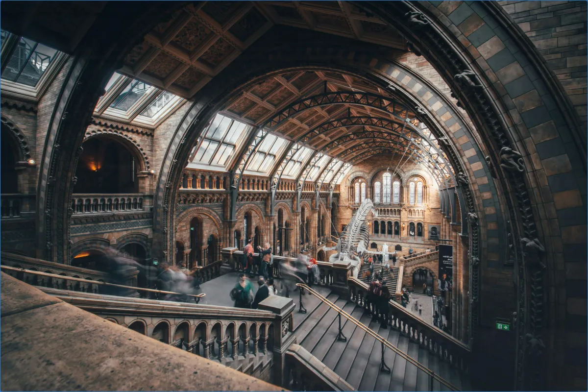 Natural History Museum 