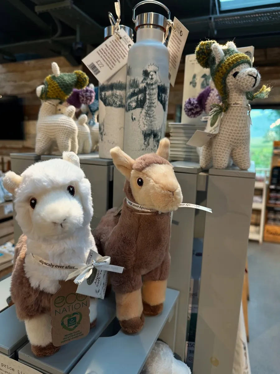 Souvenirs and alpaca fleece products at the farm gift shop