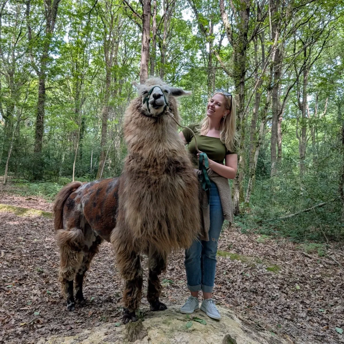 Person standing with a llama in a forest.