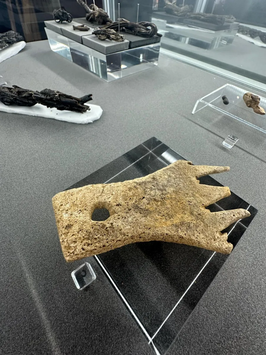The Scottish Crannog Centre