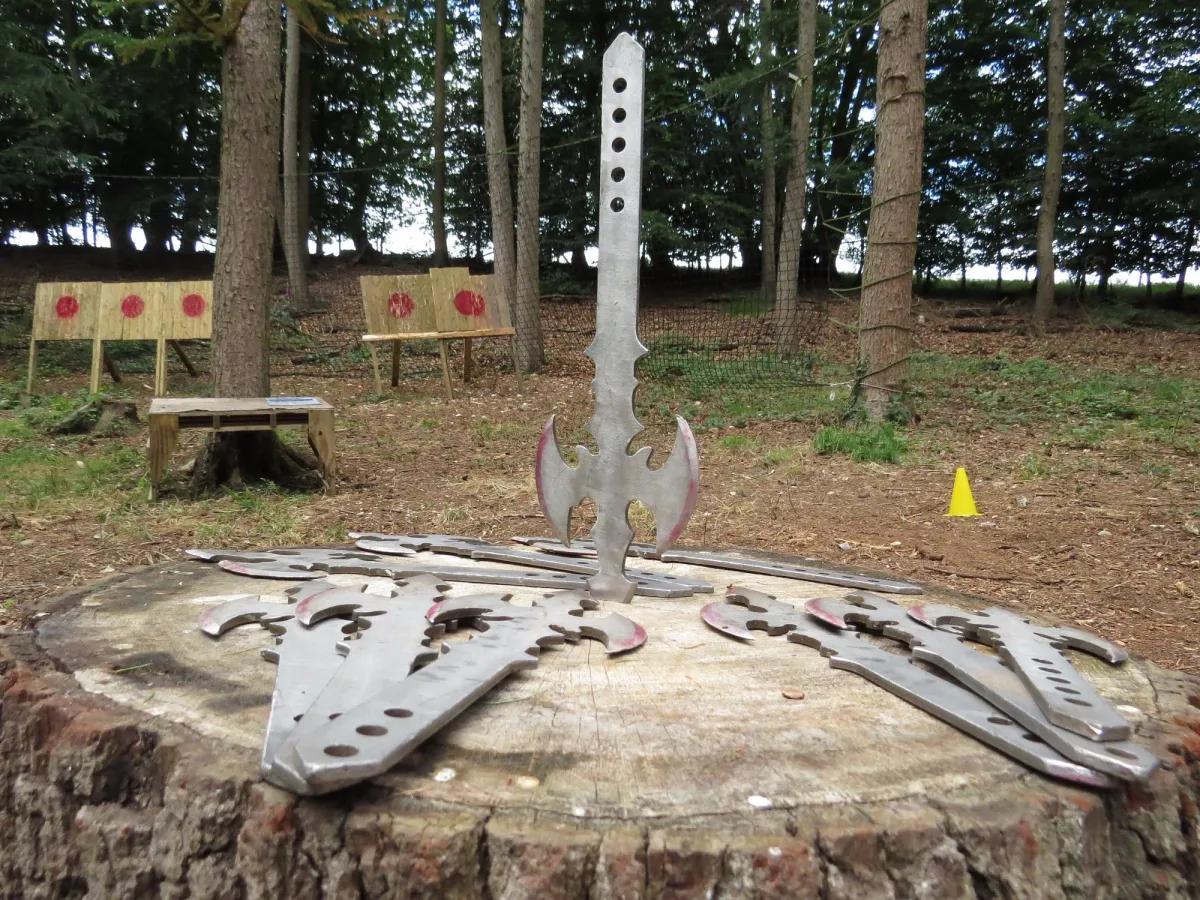 Throwing knives on a tree stump in a wooded area.
